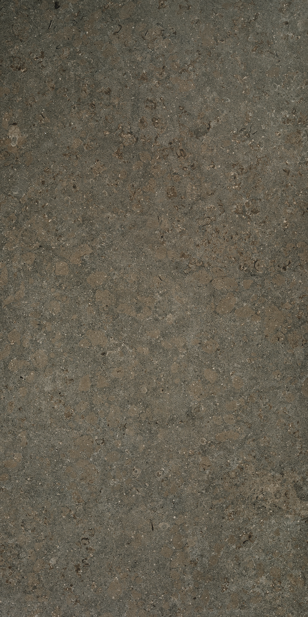 Bricmate Azul olive 60x120