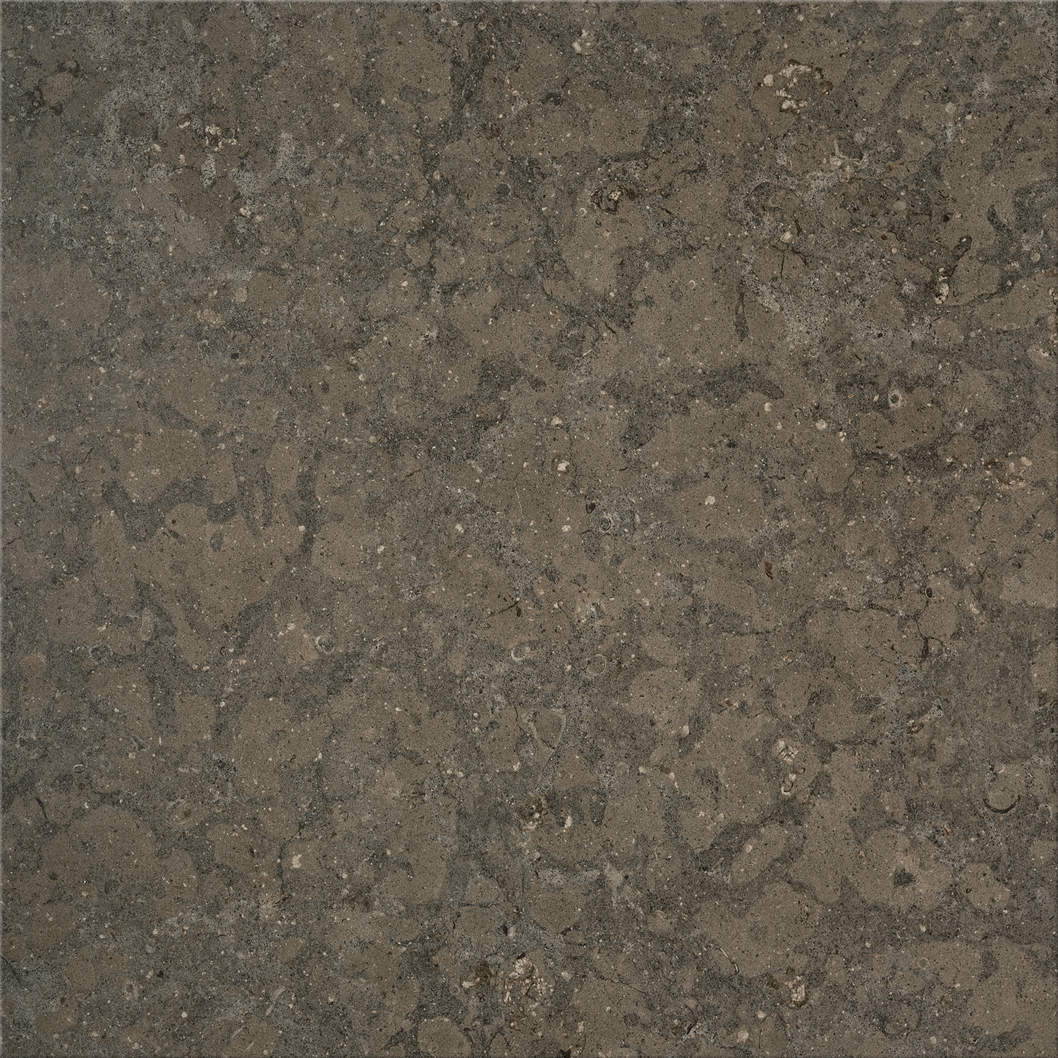 Bricmate Azul olive 60x60
