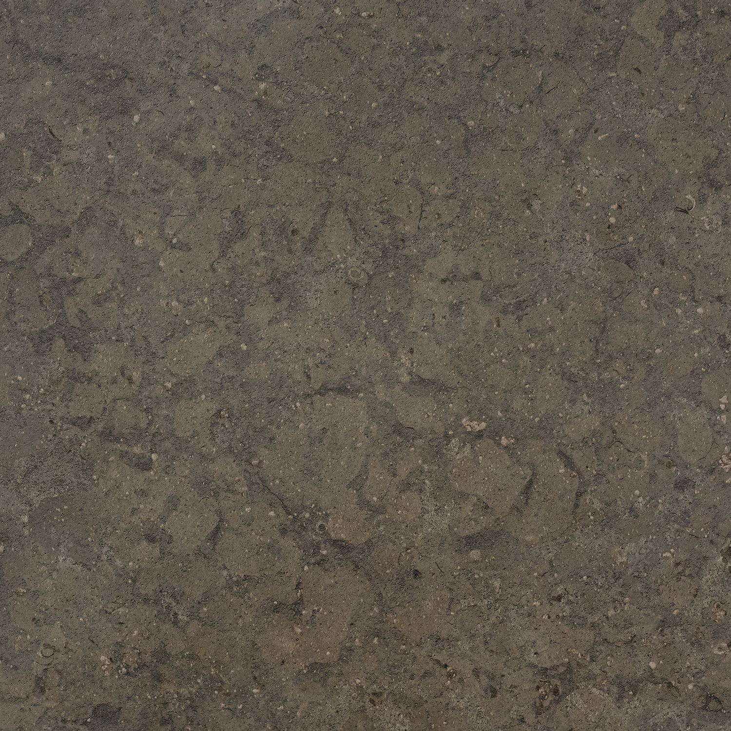 Bricmate Azul olive honed 60x60