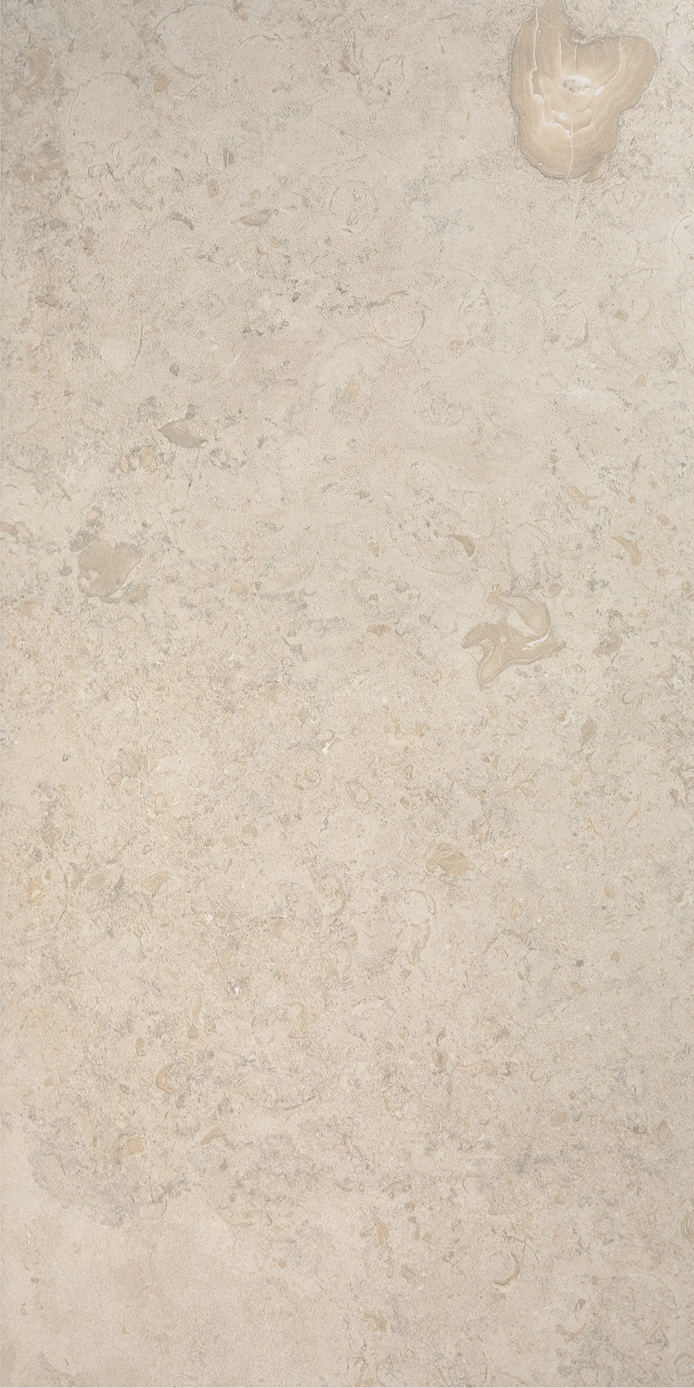 Bricmate Norrvange ivory honed 60x120