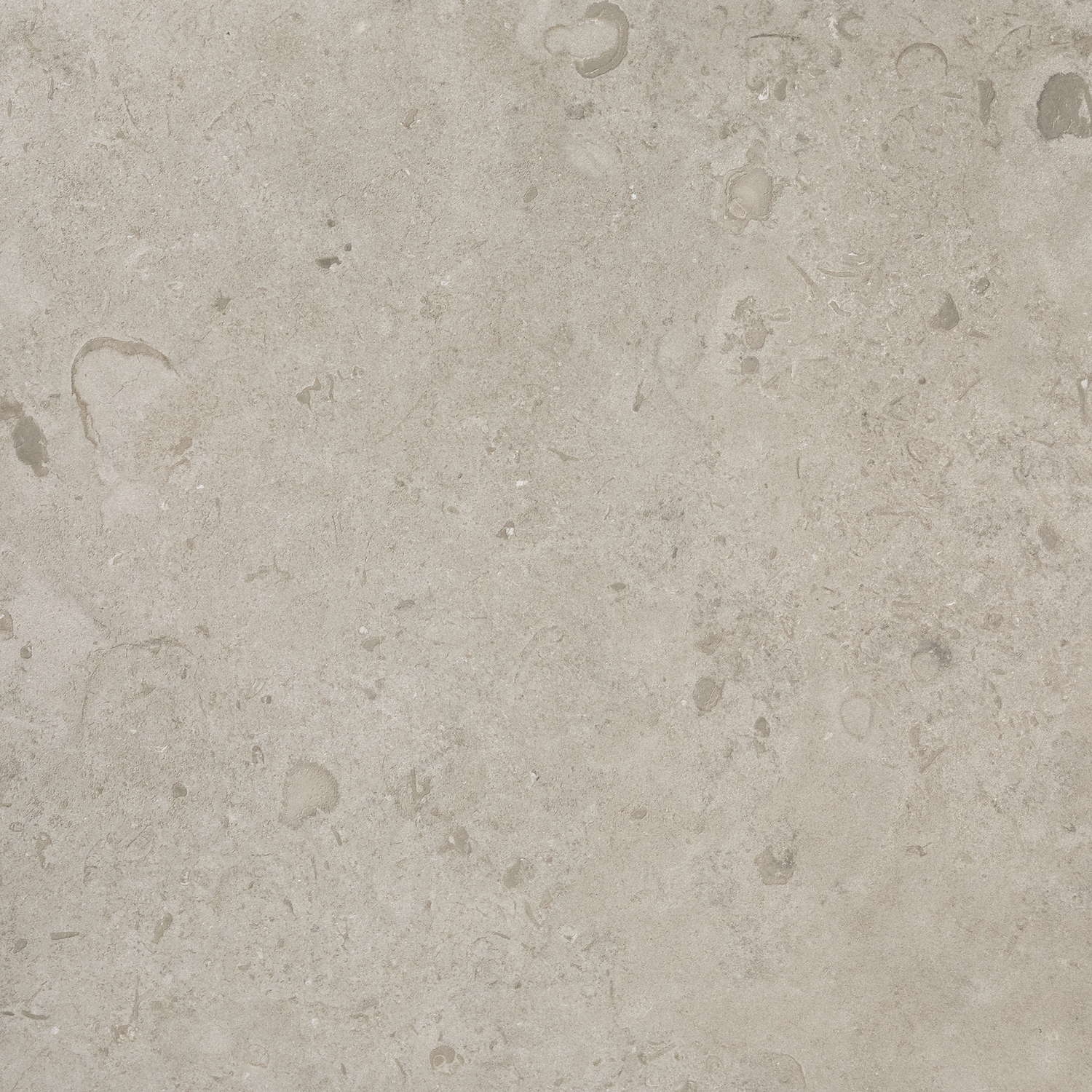 Bricmate Norrvange light grey honed 60x60