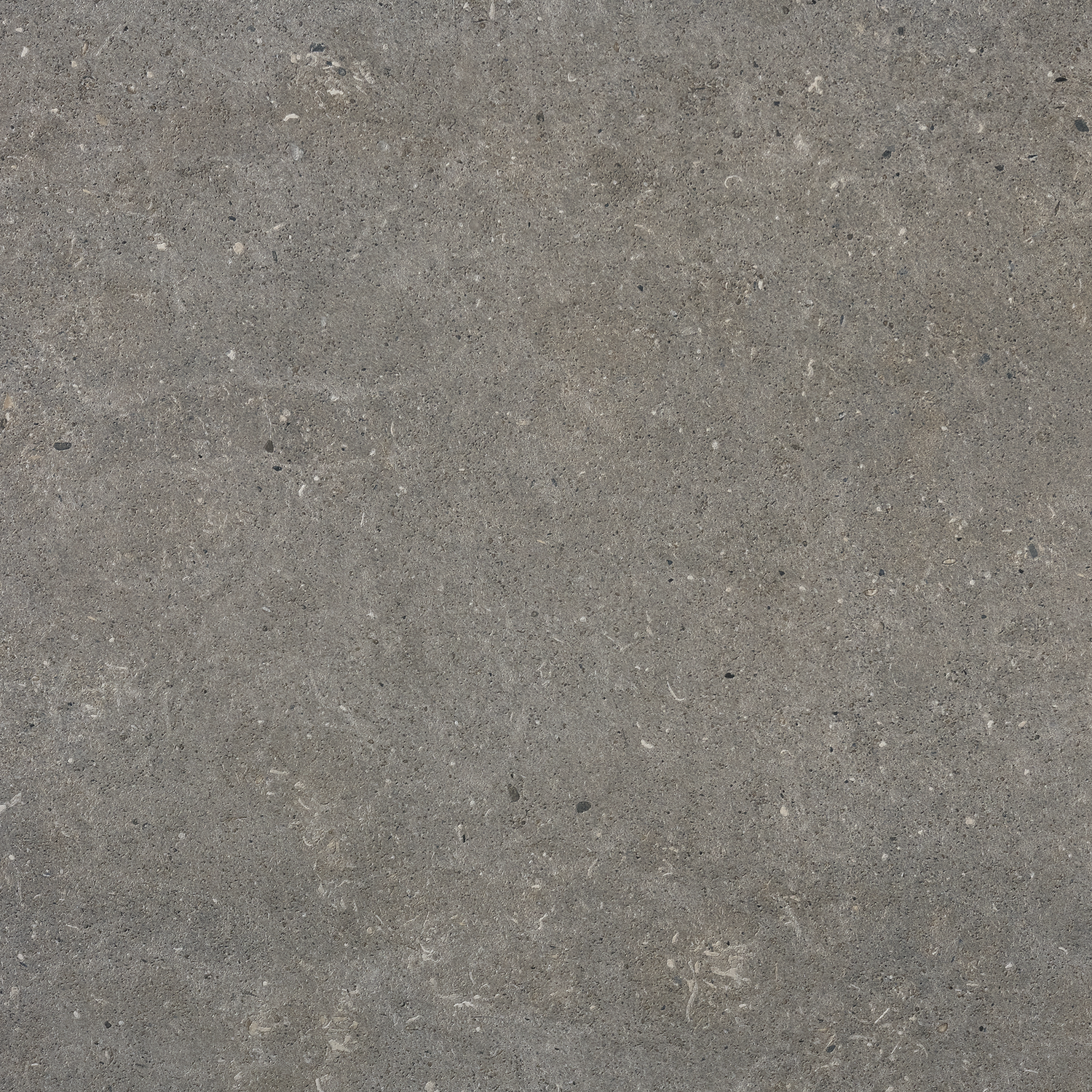Bricmate Stone select grey 60x60