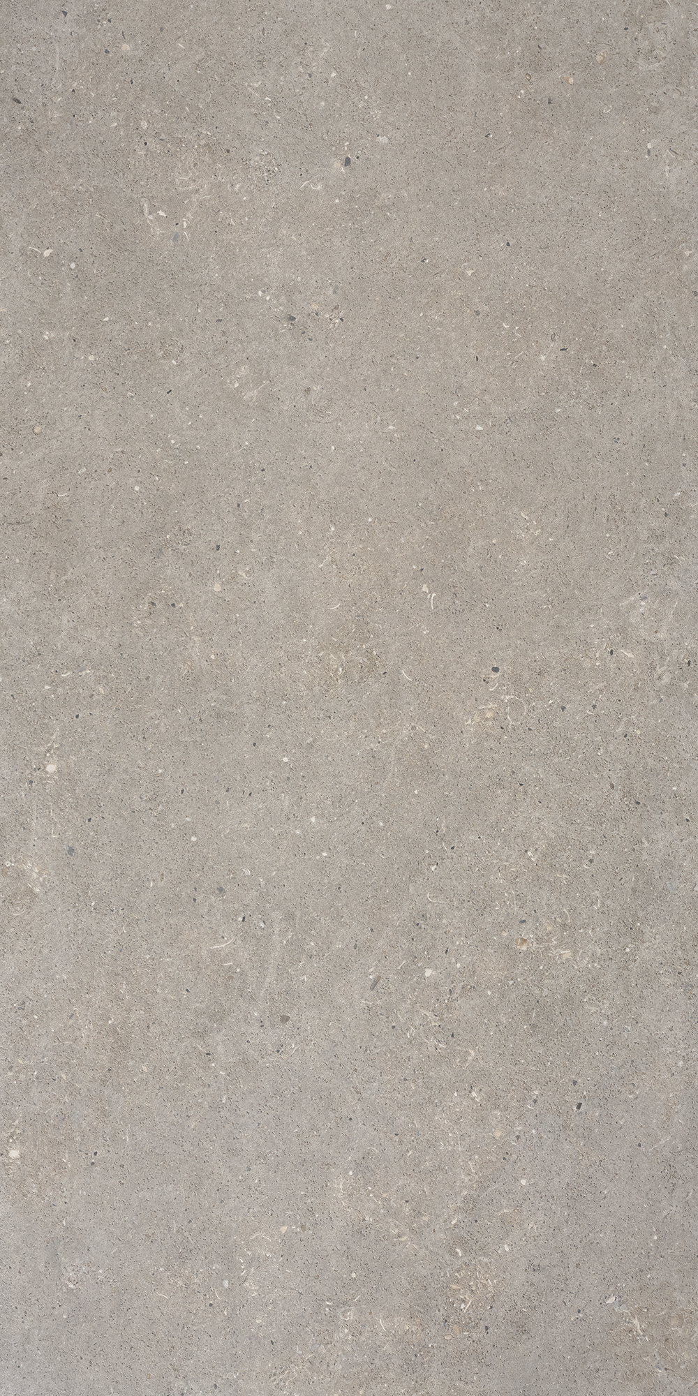 Bricmate Stone select light grey 60x120
