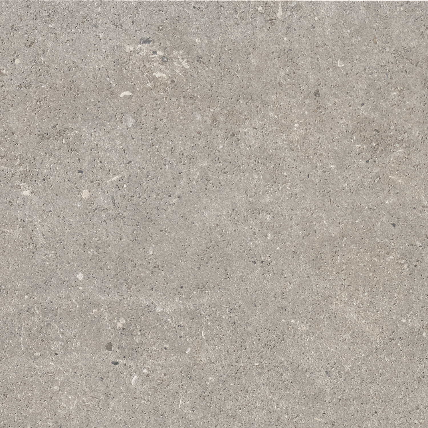 Bricmate Stone select light grey honed 30x30