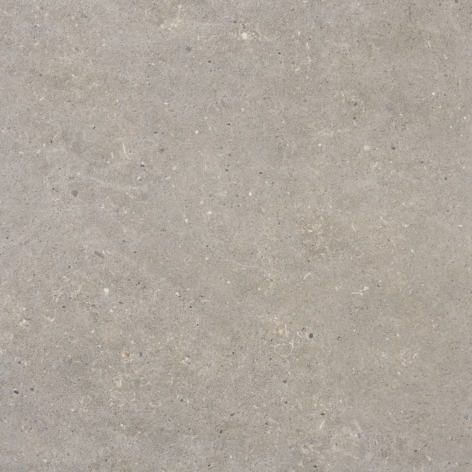 Bricmate Stone select light grey honed 60x60