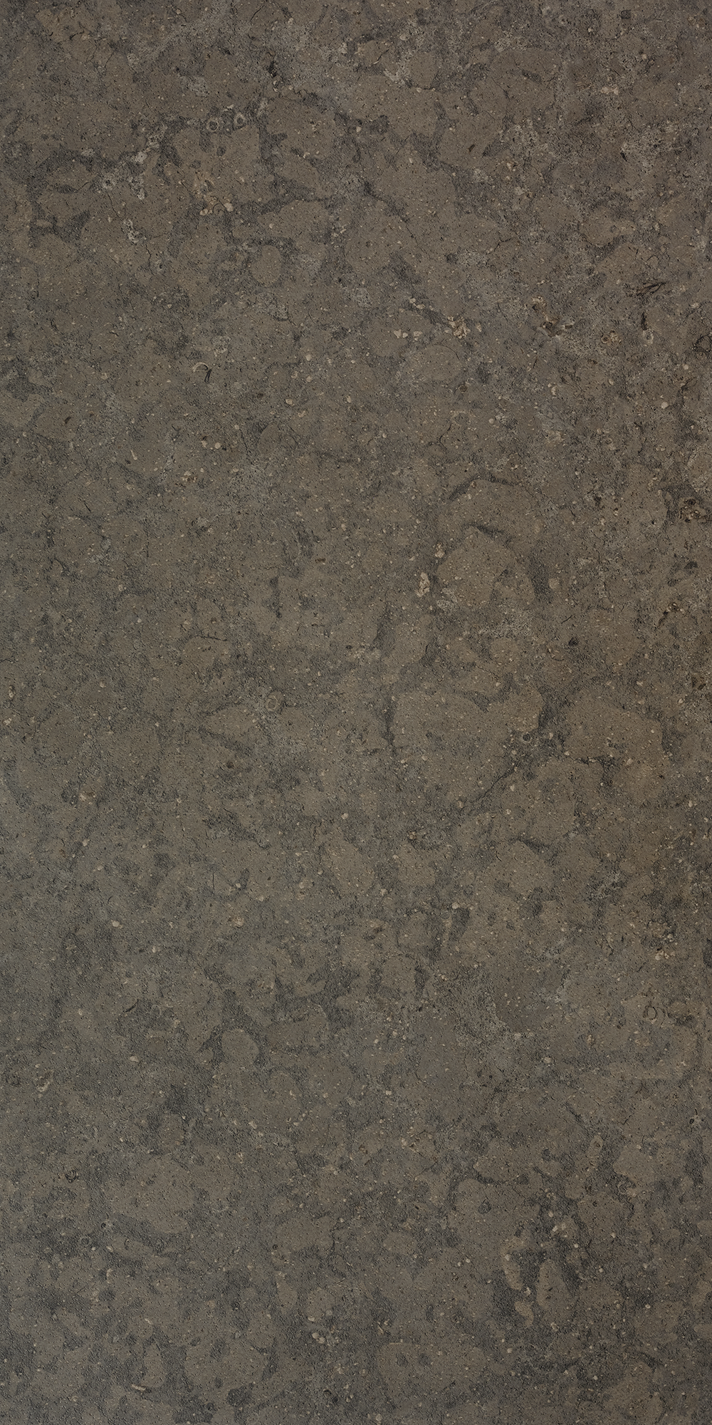 Bricmate Azul olive honed 60x120