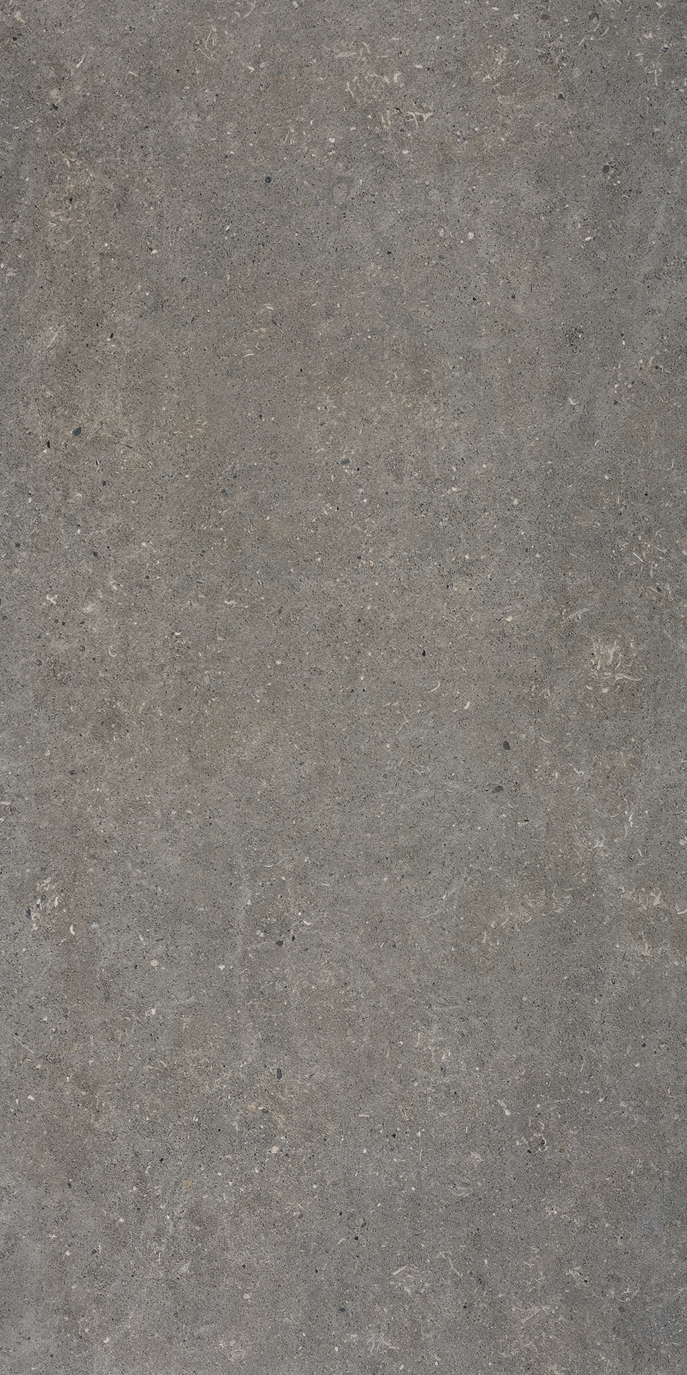 Bricmate Stone select grey 60x120
