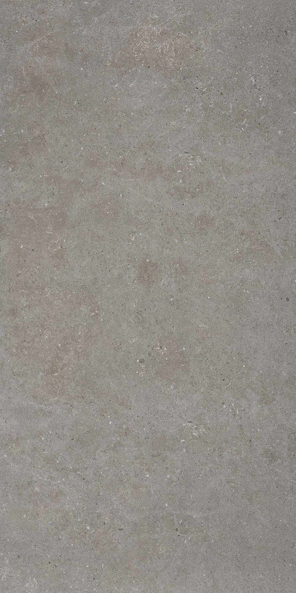 Bricmate Stone select grey honed 60x120