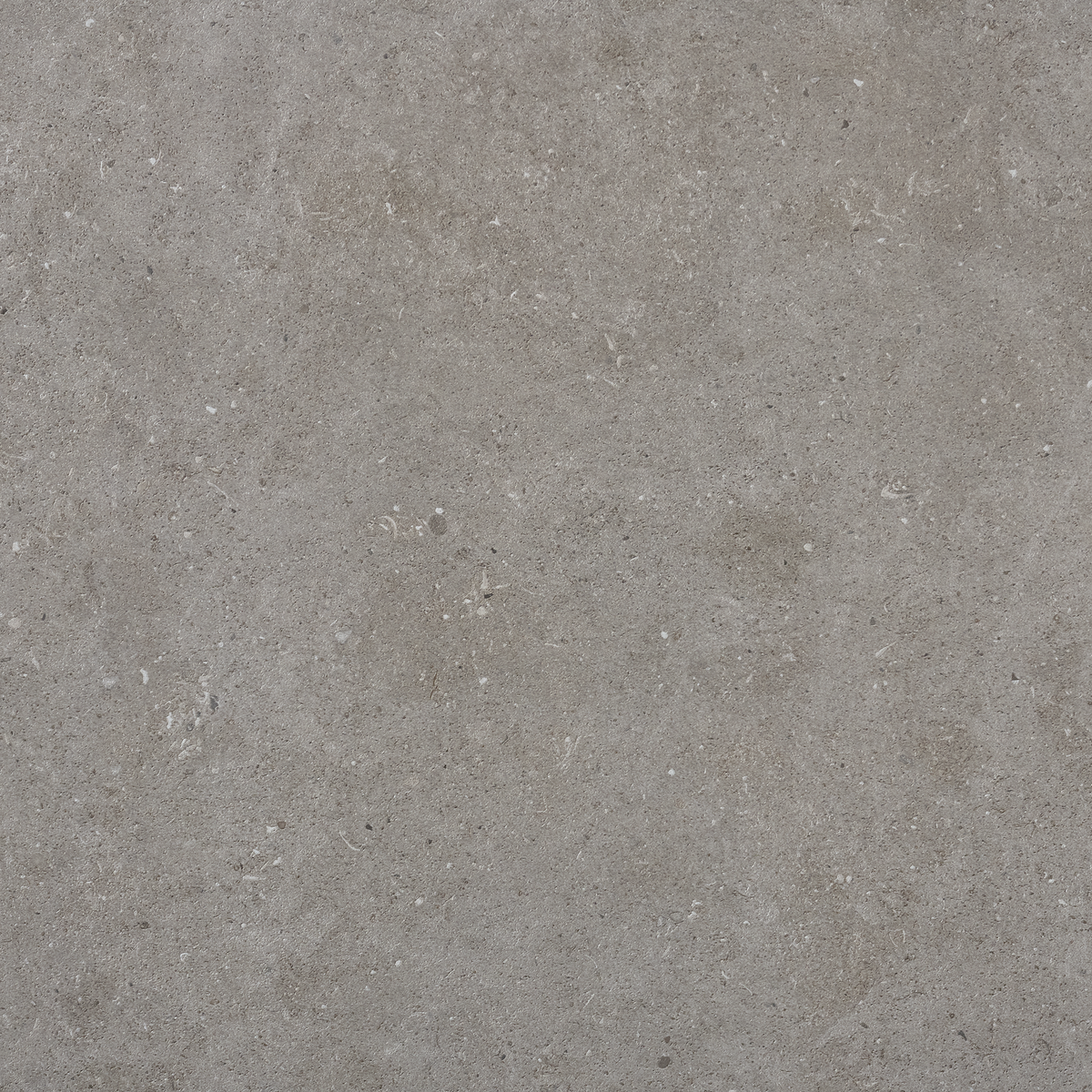 Bricmate Stone select grey honed 60x60