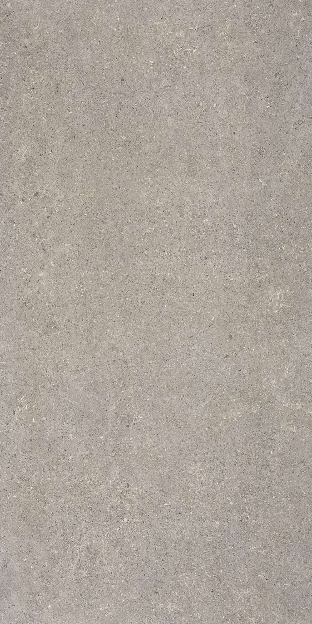 Bricmate Stone select light grey honed 60x120