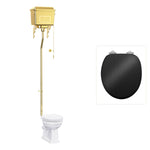 Toalettstol Burlington högspolande guld metallcistern med soft close-sits och spolvred, sits blank svart