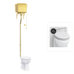 Toalettstol Burlington högspolande guld metallcistern med soft close-sits och spolvred, sits matt vit