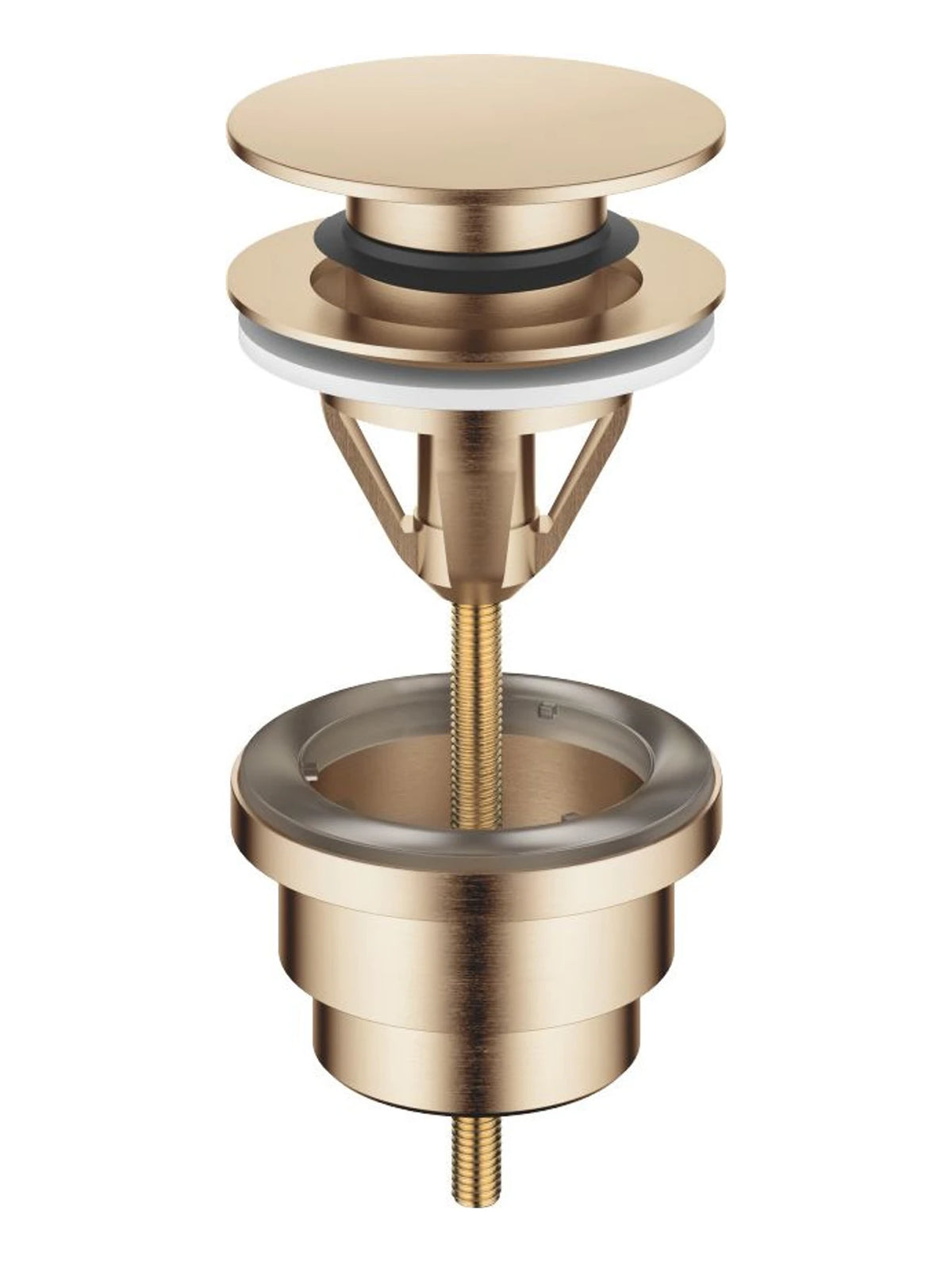 Dornbracht 10125970-27 Bottenventil Pop-up 1 1/4 Borstad Light Gold