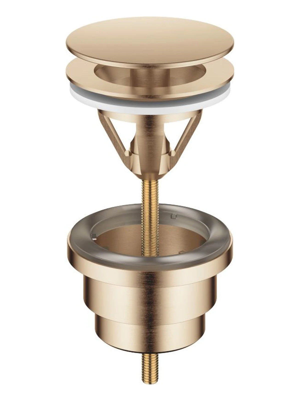 Dornbracht 10126970-46 Bottenventil Öppen 1 1/4 Borstad Champagne