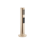 Proffs-duschset Dornbracht Borstad Champagne