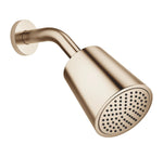 Huvuddusch Dornbracht Ø 100 mm Borstad Champagne