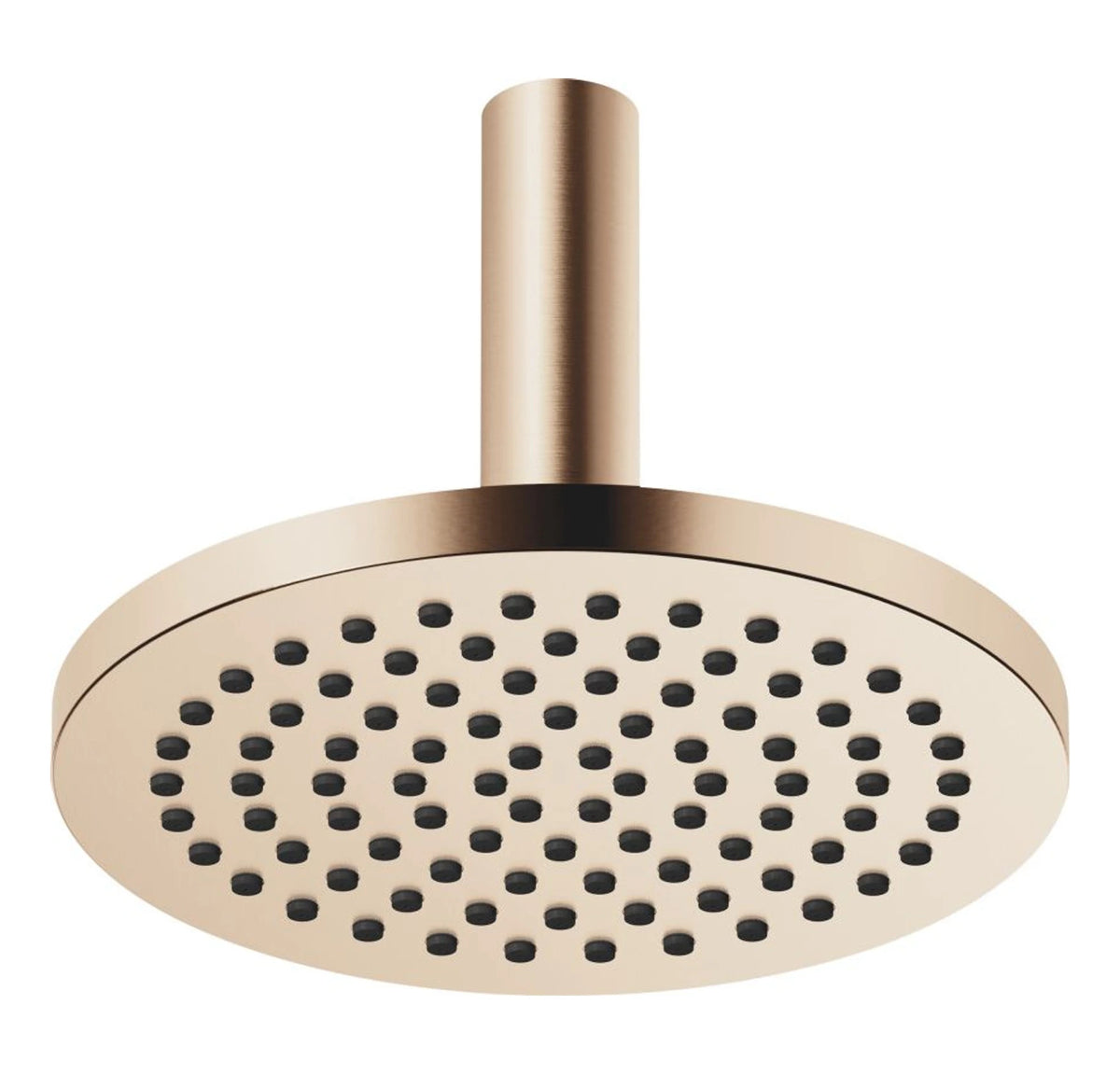 Regndusch Dornbracht 220 mm för innertak Borstad Champagne