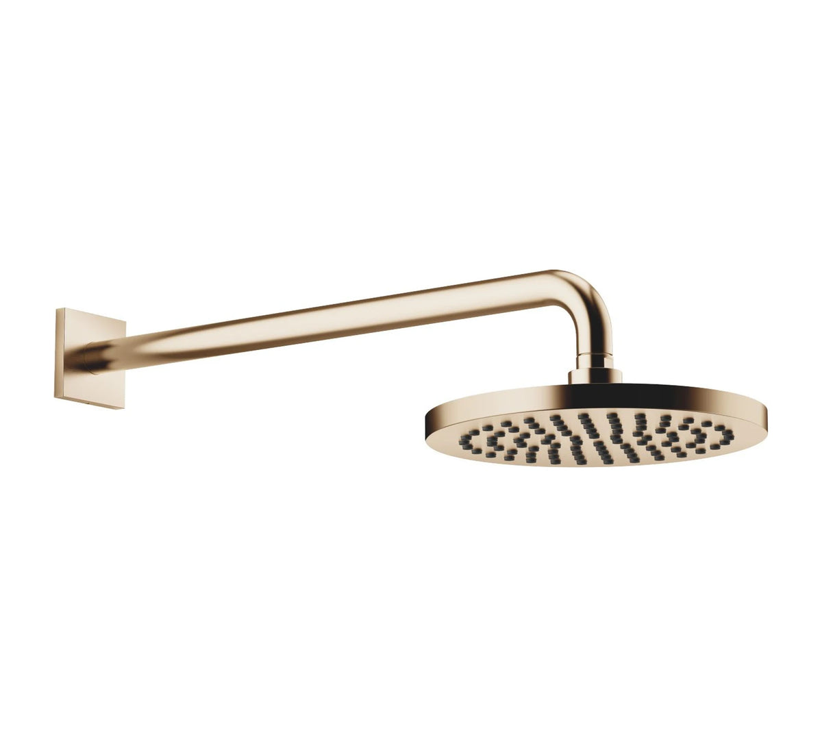 Regndusch Dornbracht 220 mm väggmontering kantig täckbricka Borstad Champagne