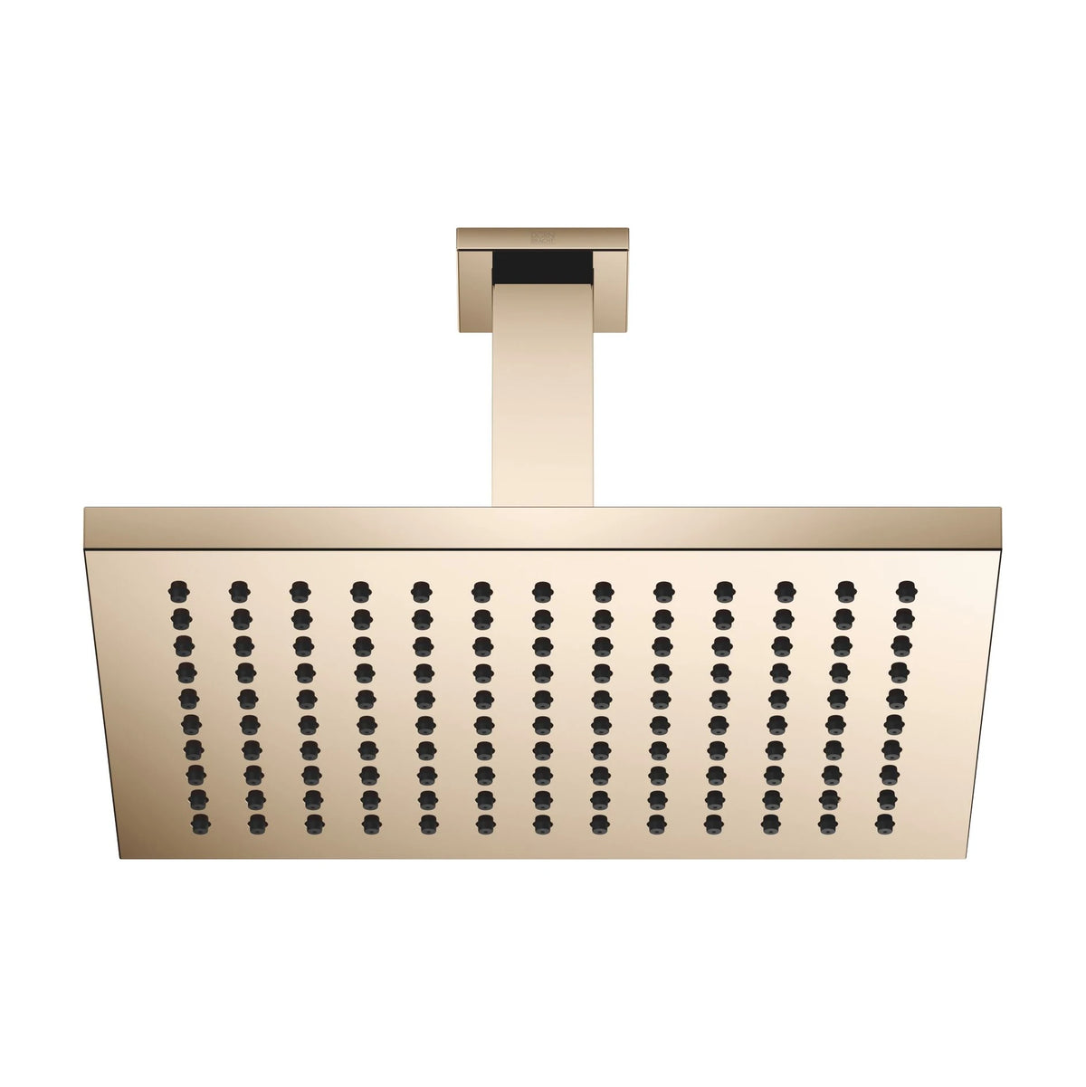 Regndusch Dornbracht 300x240 mm för innertak med täckbricka 60x60 mm Champagne